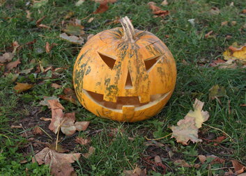 Dýňová stezka se vrací