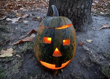 Dýňová stezka se vydařila