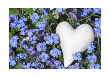 Pozůstalostní péče Pomněnka